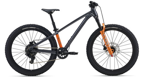 GIANT STP 24