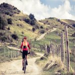 Trail