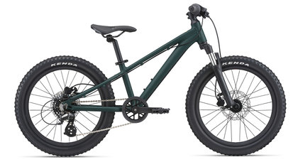 GIANT STP 20 FS
